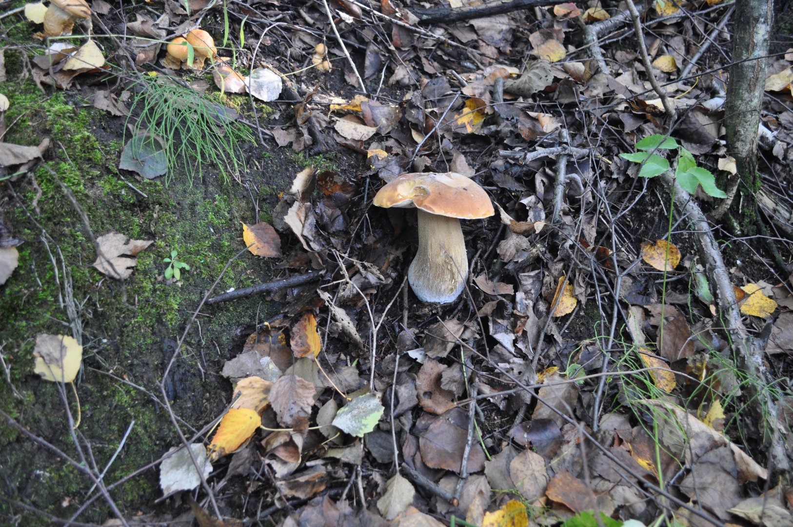 DSC_0179.JPG