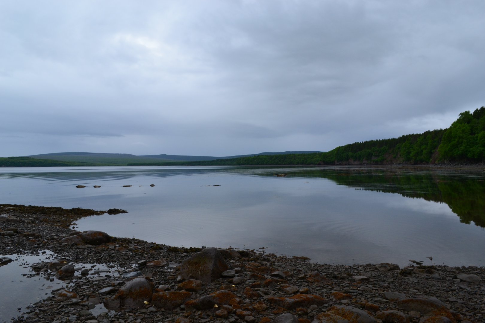 DSC_0197.JPG