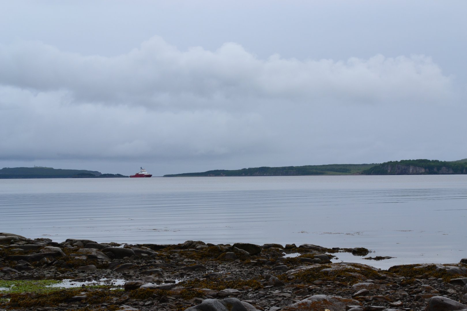 DSC_0198.JPG