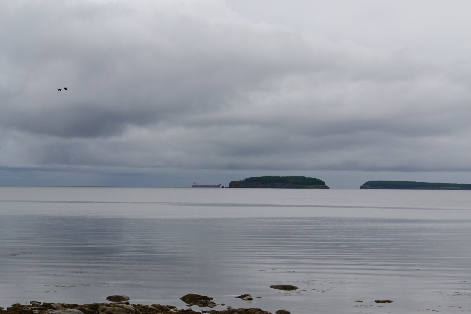 DSC_0199.JPG