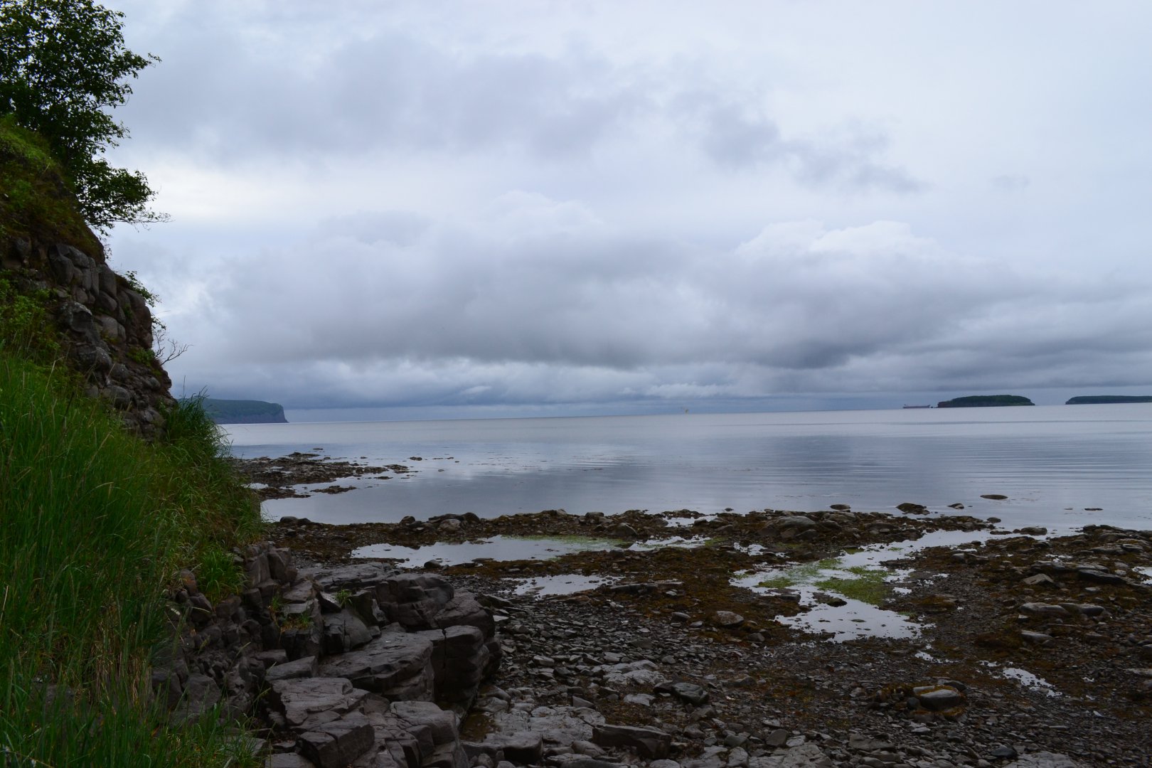 DSC_0201.JPG