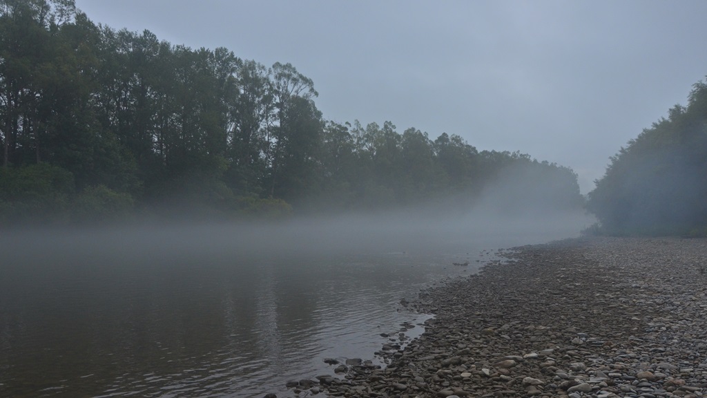 DSC_0217.JPG