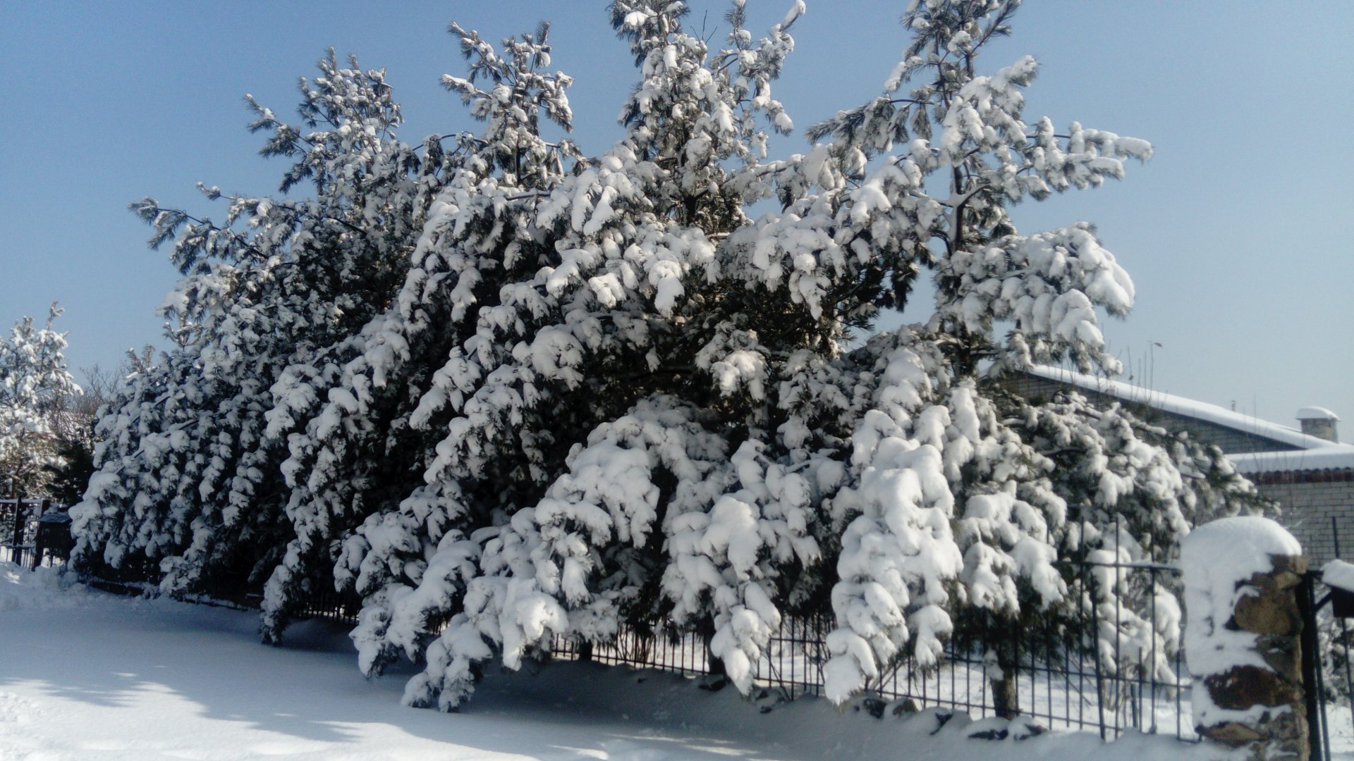 DSC_0219.JPG