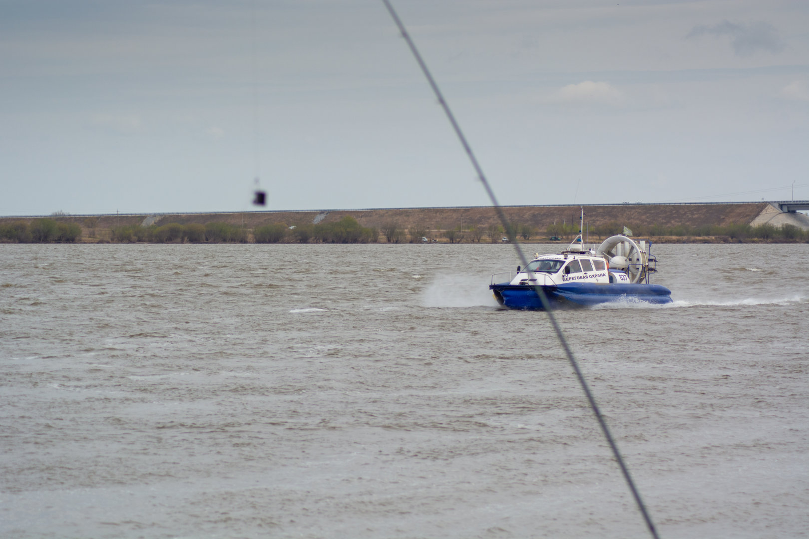 DSC_0223.jpg
