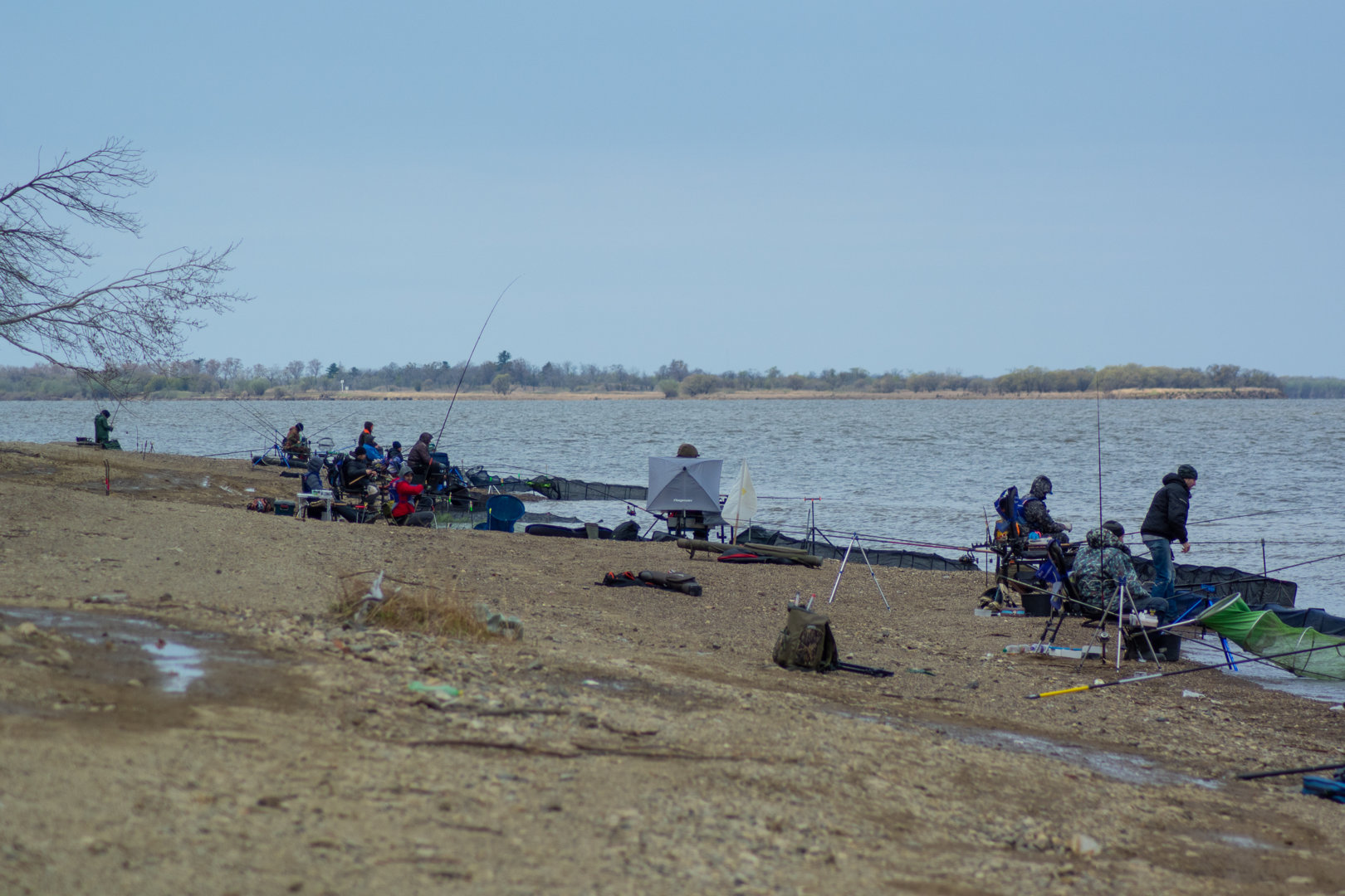 DSC_0226.jpg