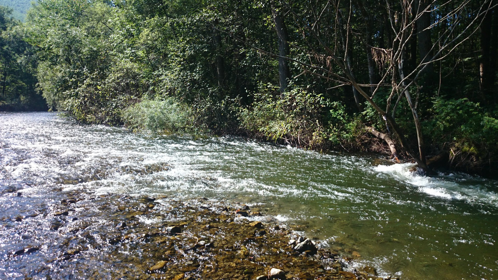 DSC_0244.JPG