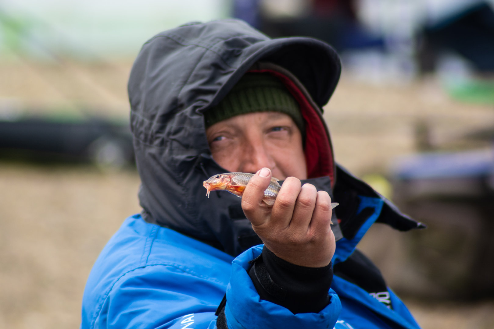 DSC_0247.jpg