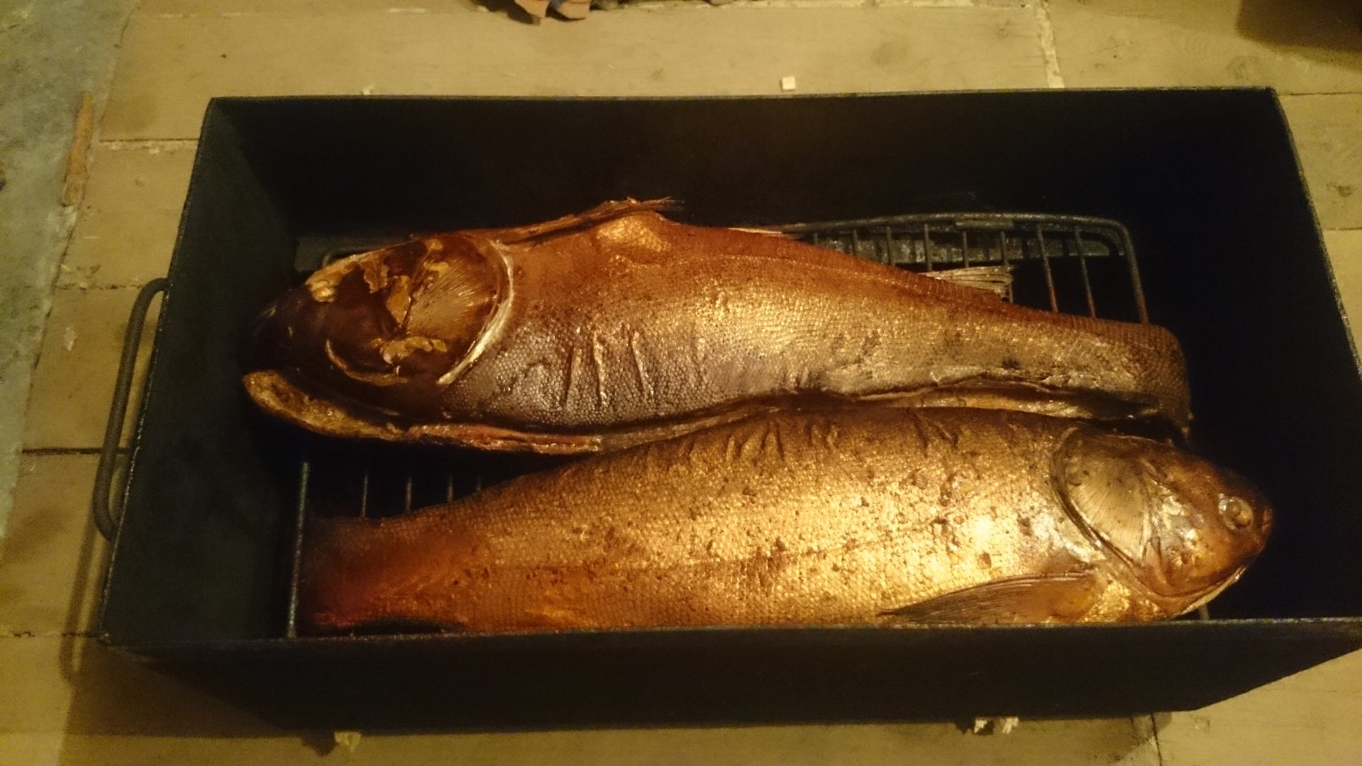 DSC_0315.JPG