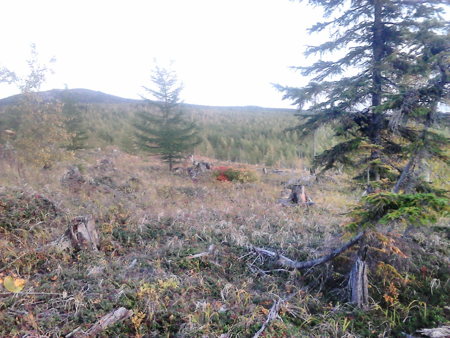 DSC_0325.JPG