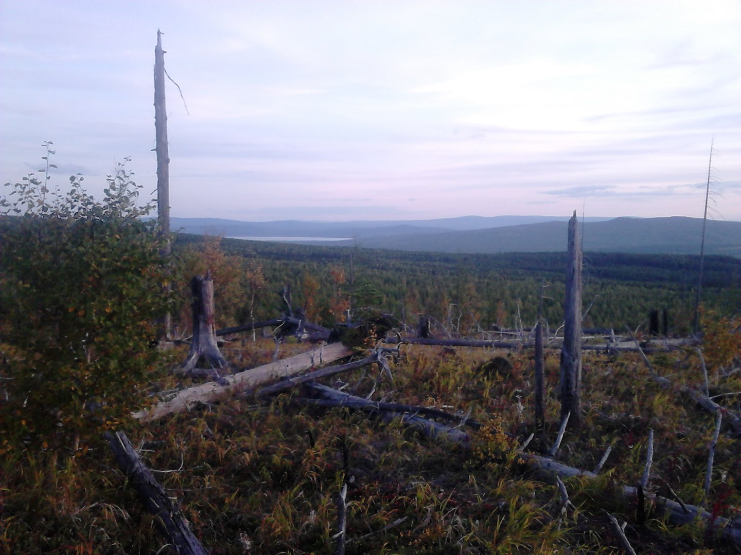 DSC_0328.JPG