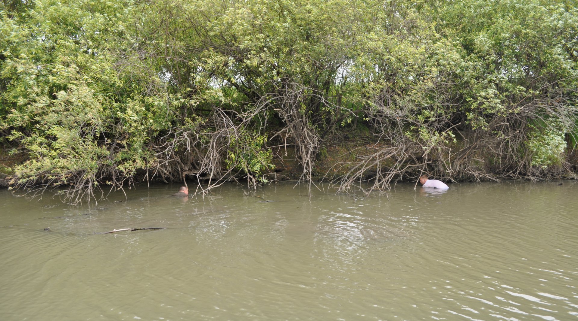 DSC_0333.JPG