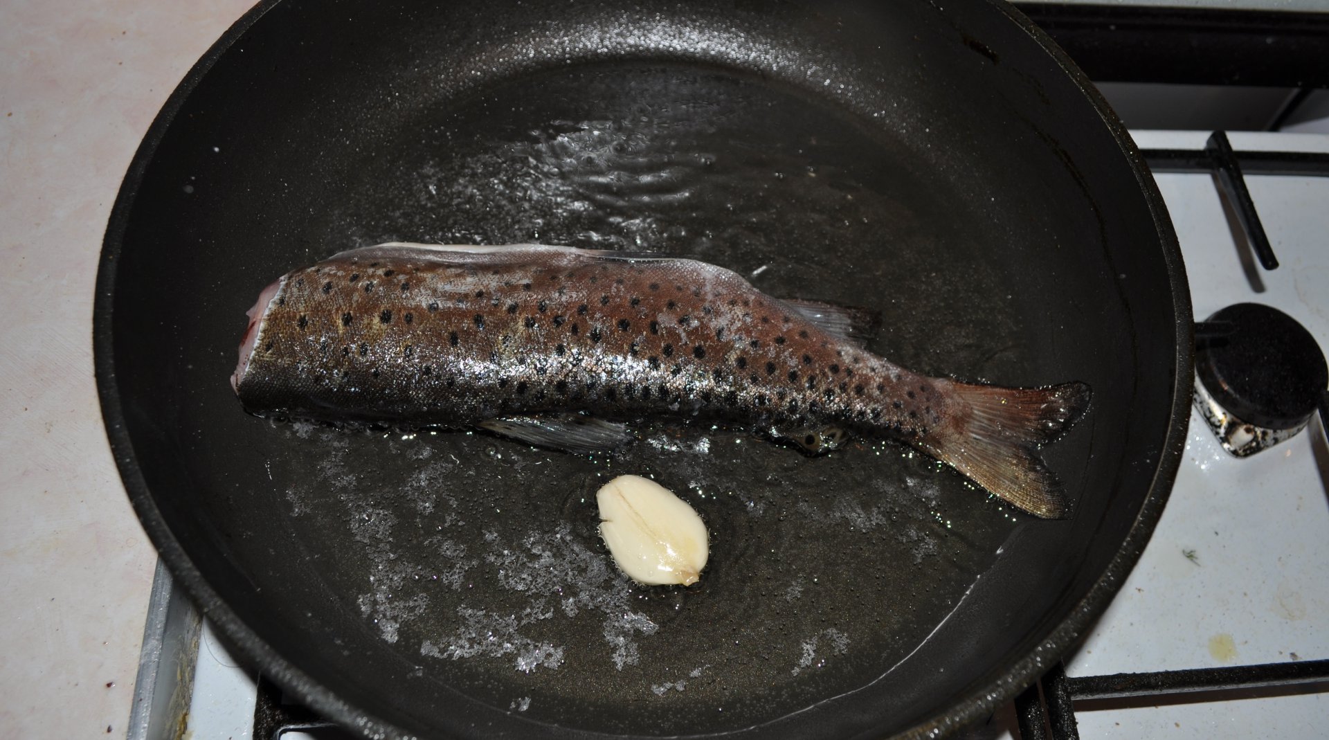 DSC_0366.JPG