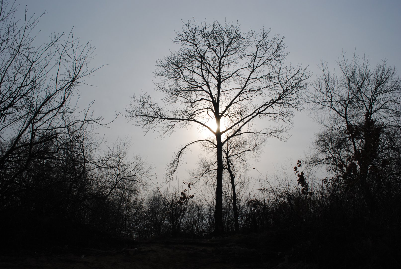DSC_0384.JPG
