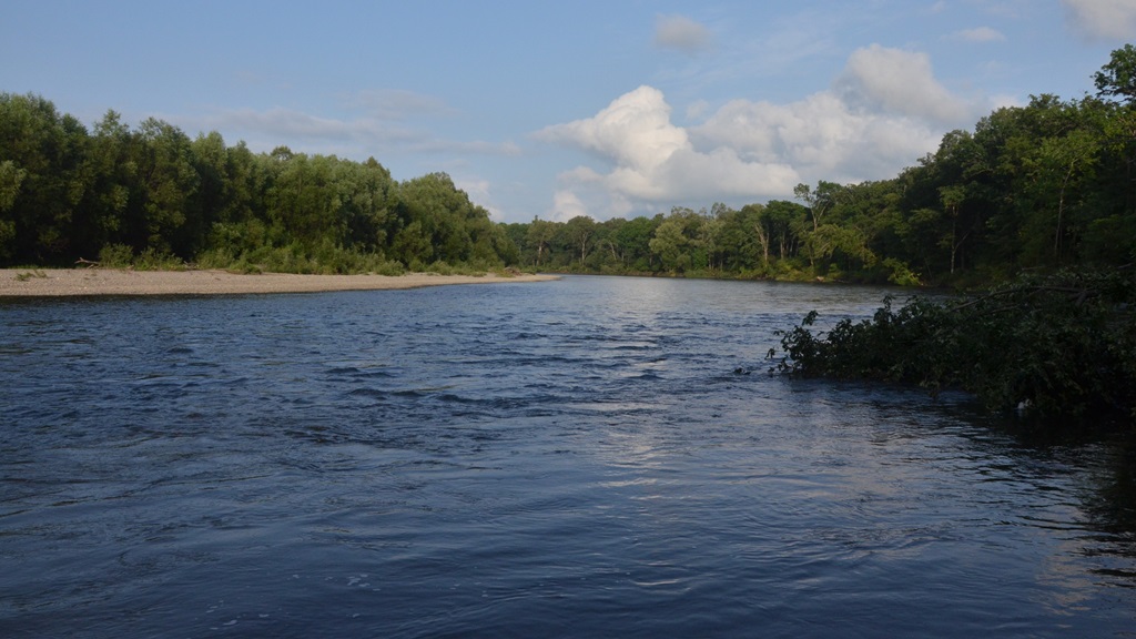 DSC_0394.JPG