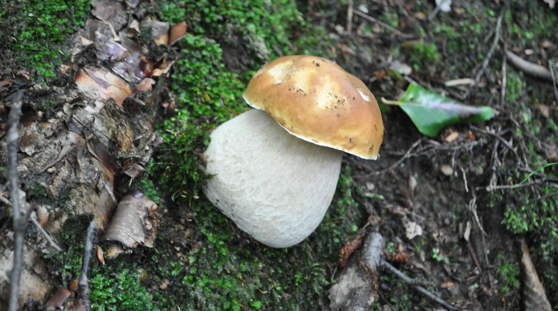 DSC_0428.JPG