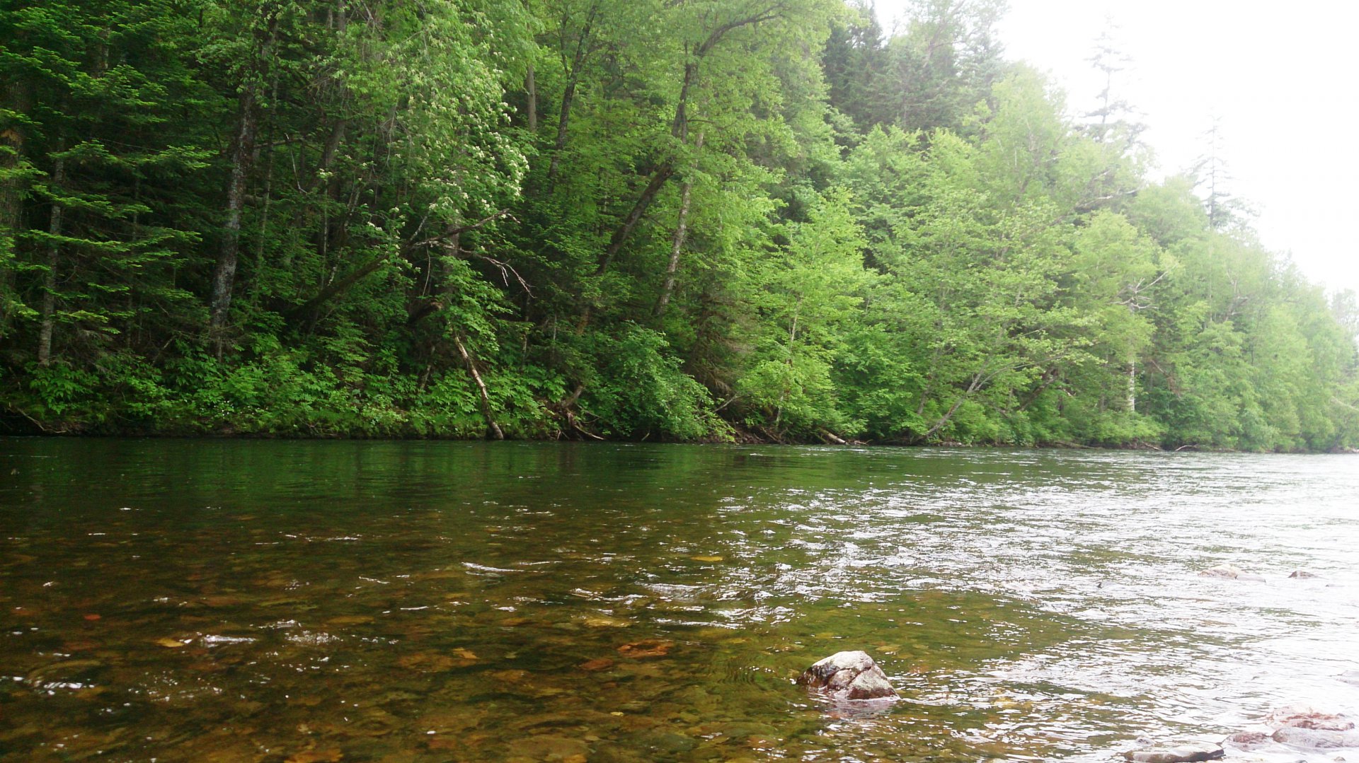 DSC_0429.JPG