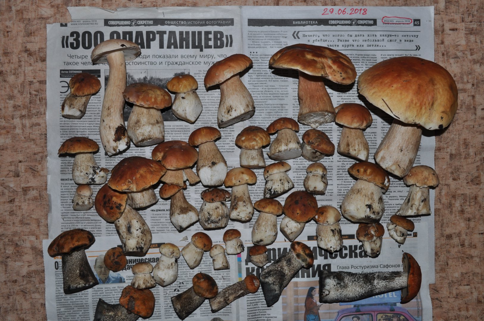 DSC_0446.JPG