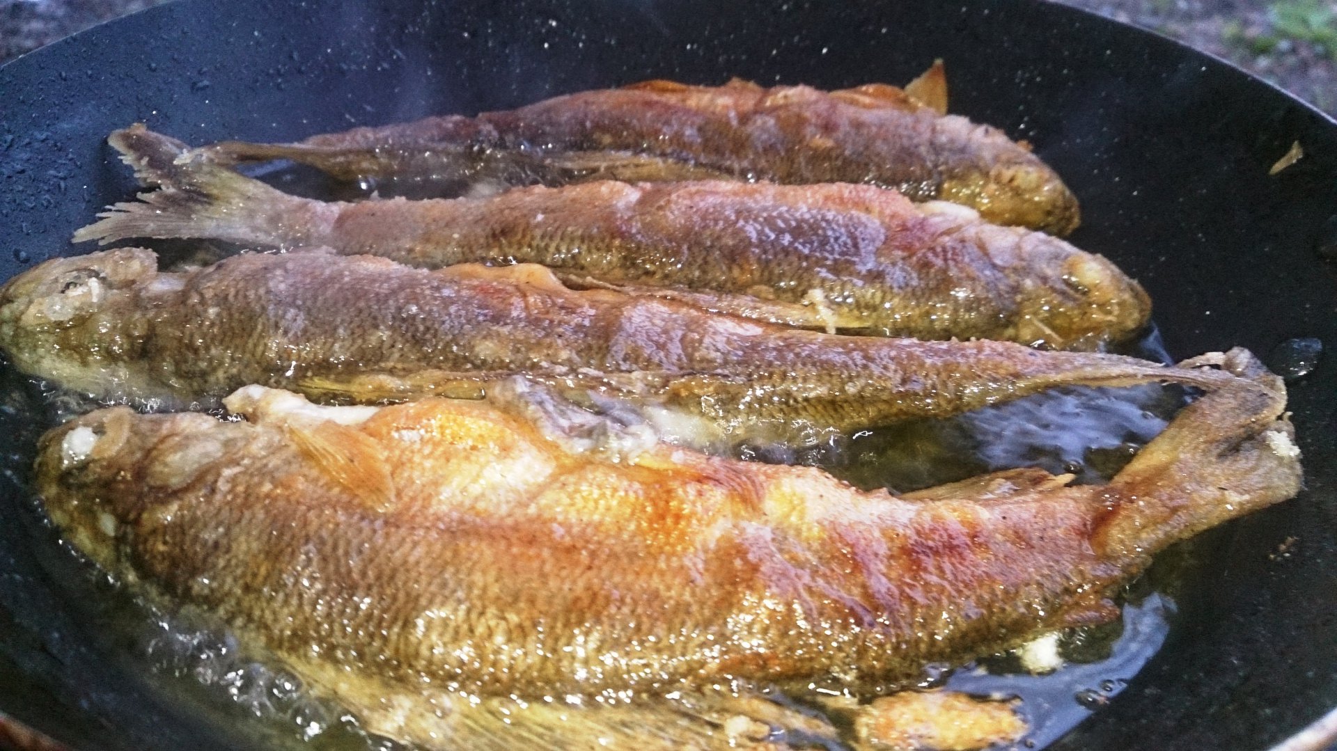 DSC_0449.JPG