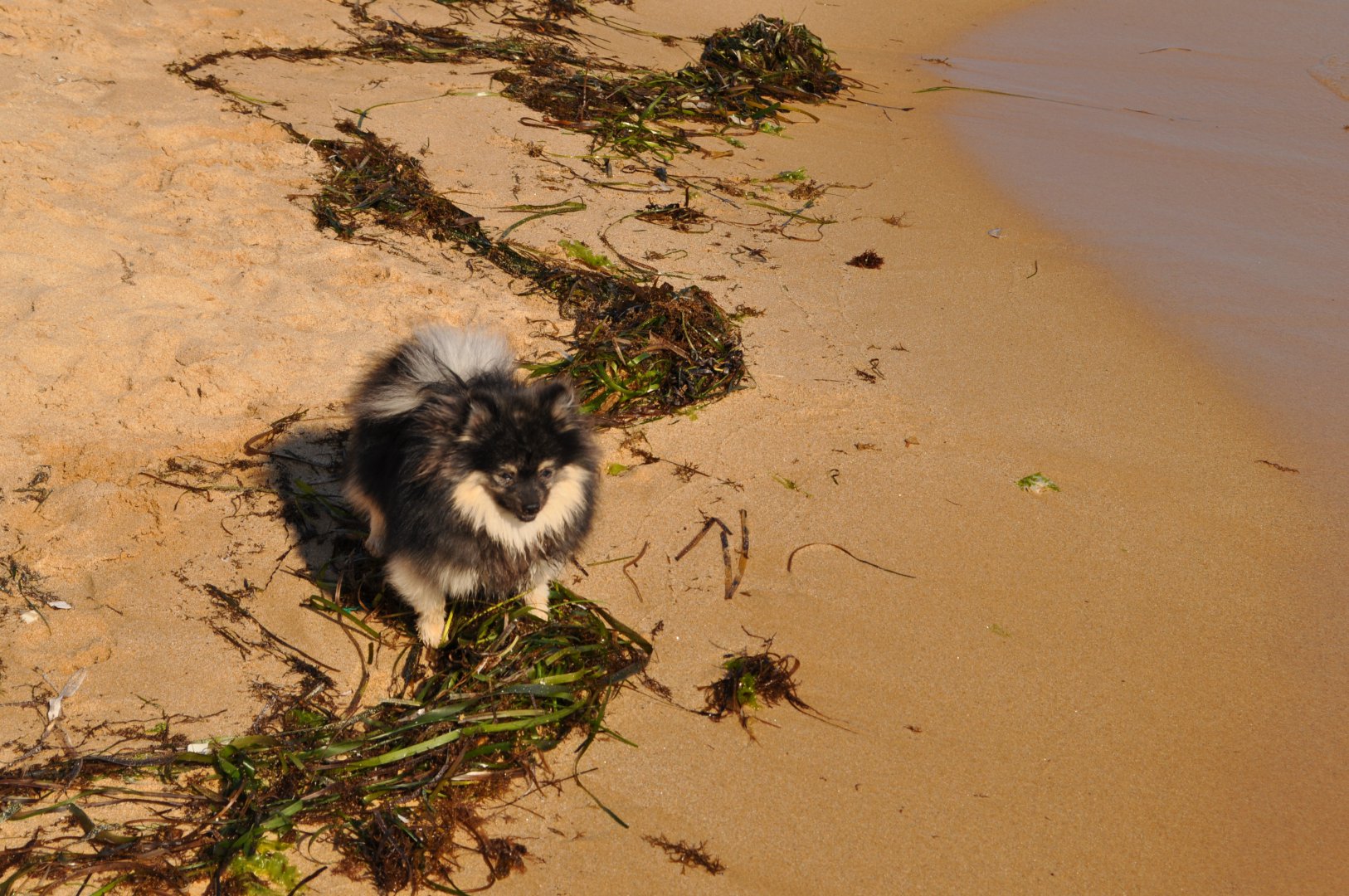 DSC_0453.JPG
