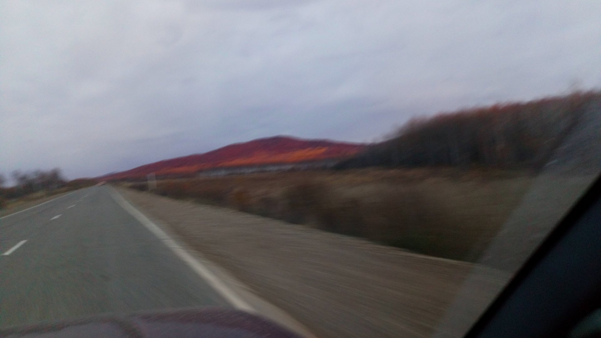DSC_0460.JPG