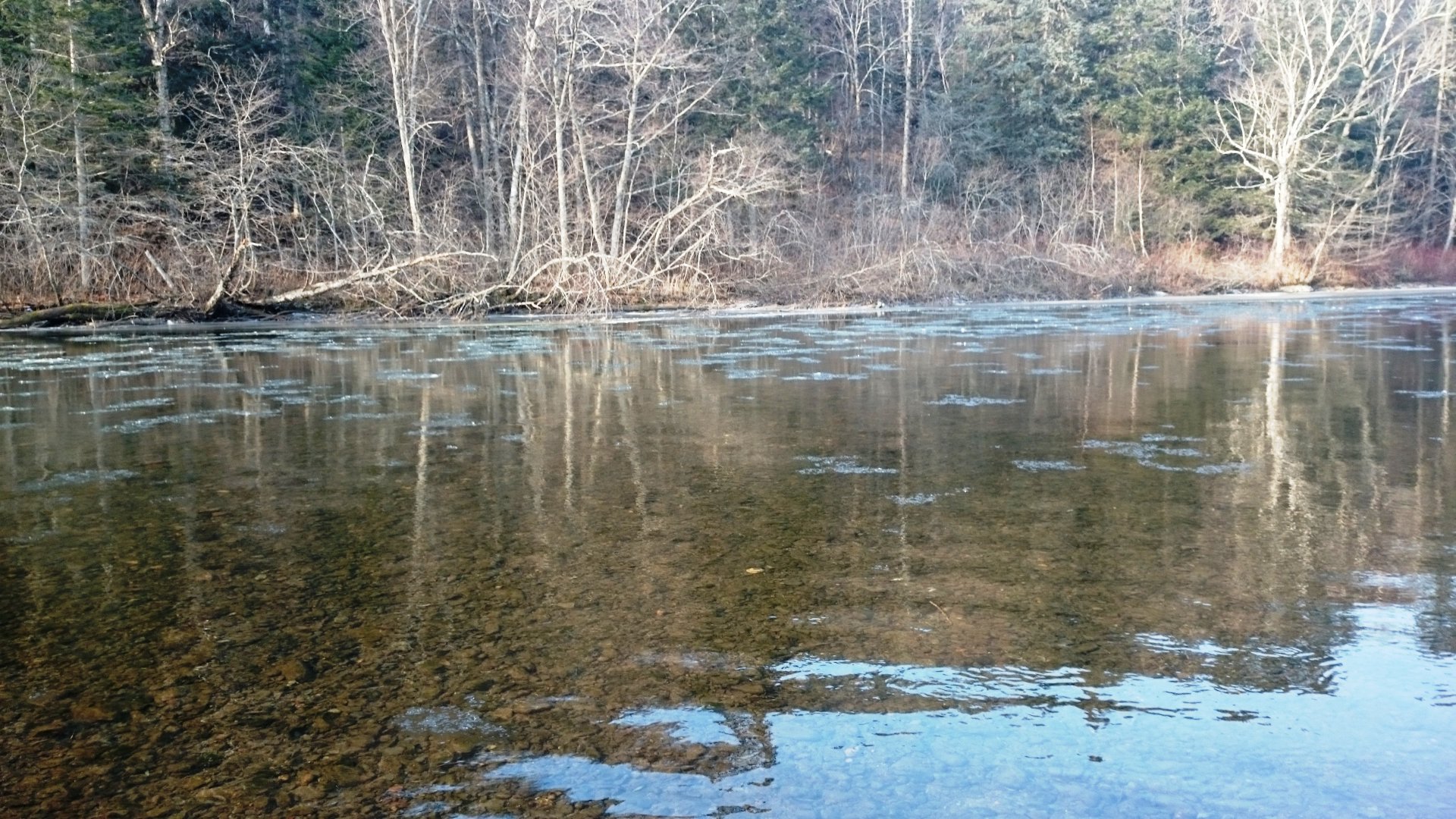 DSC_0484.JPG
