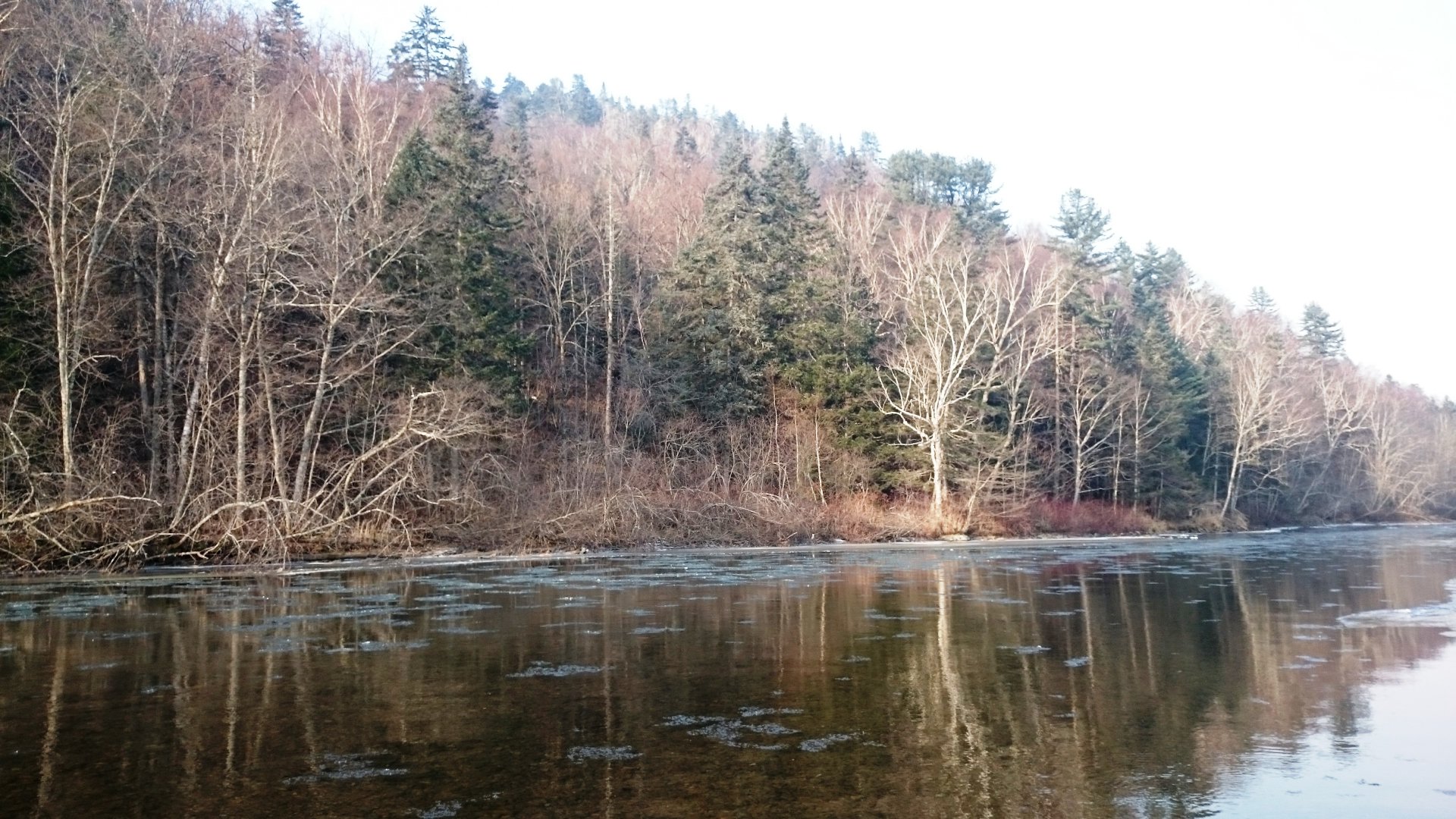 DSC_0485.JPG