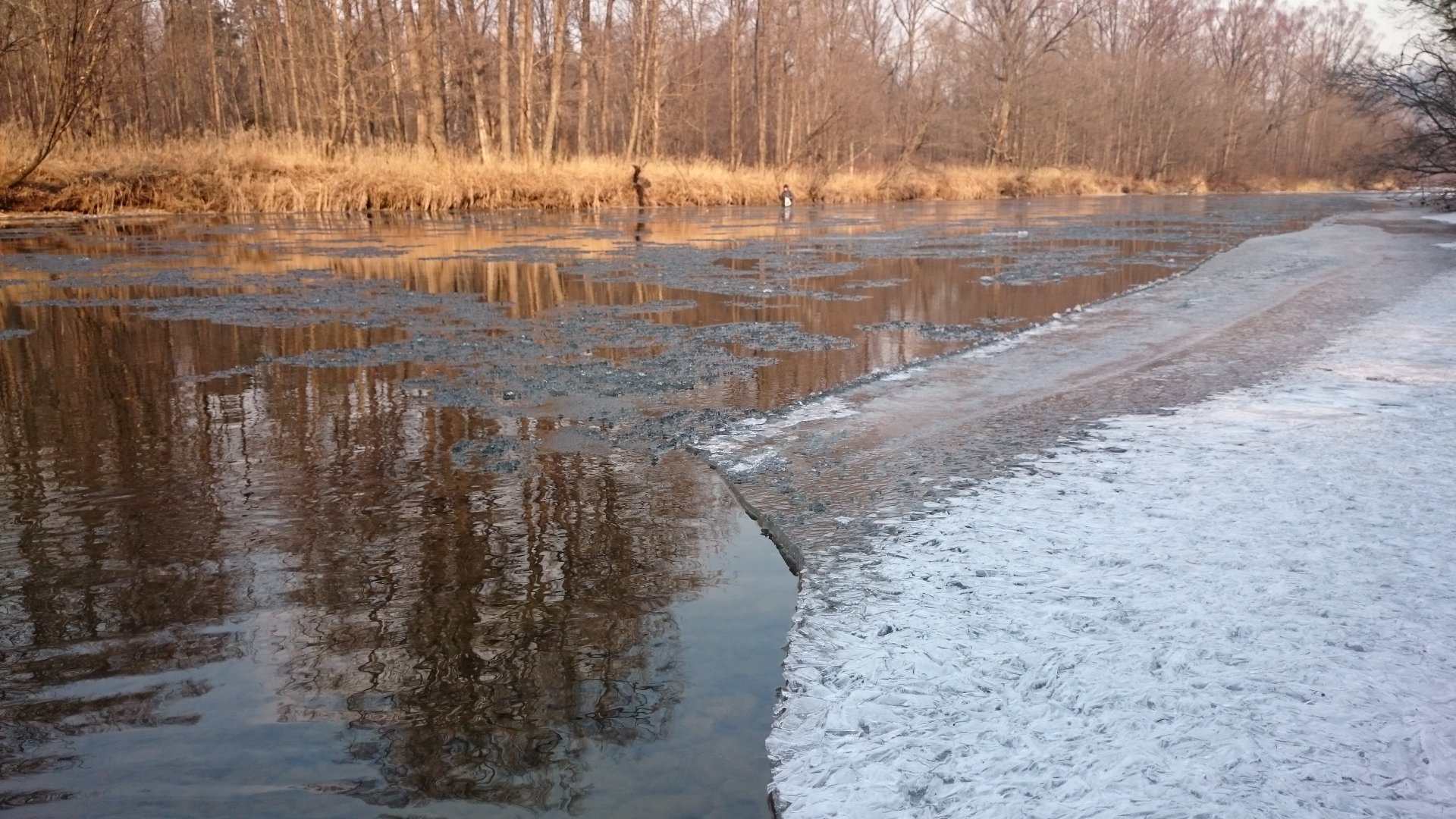 DSC_0504.JPG