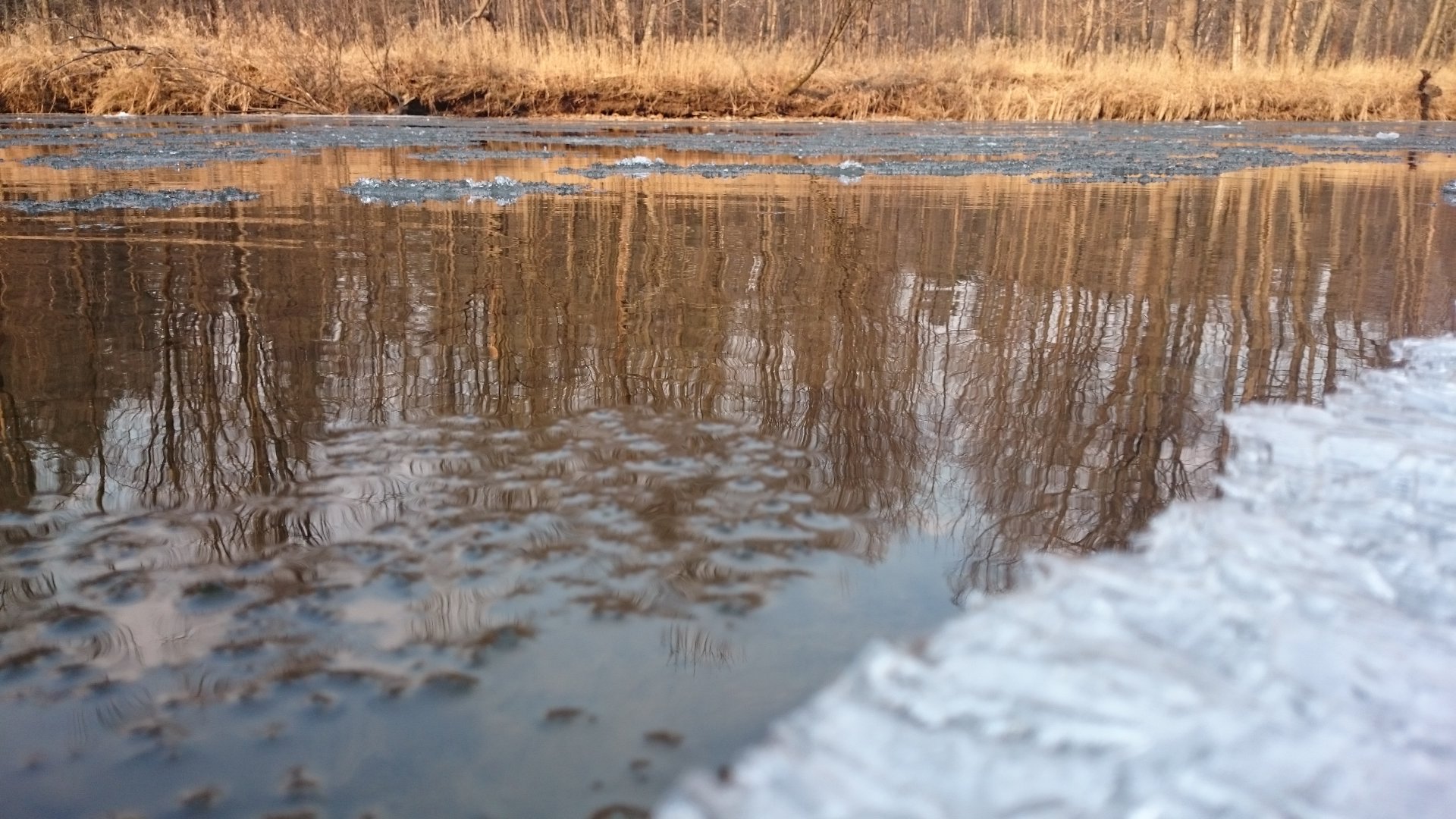 DSC_0508.JPG