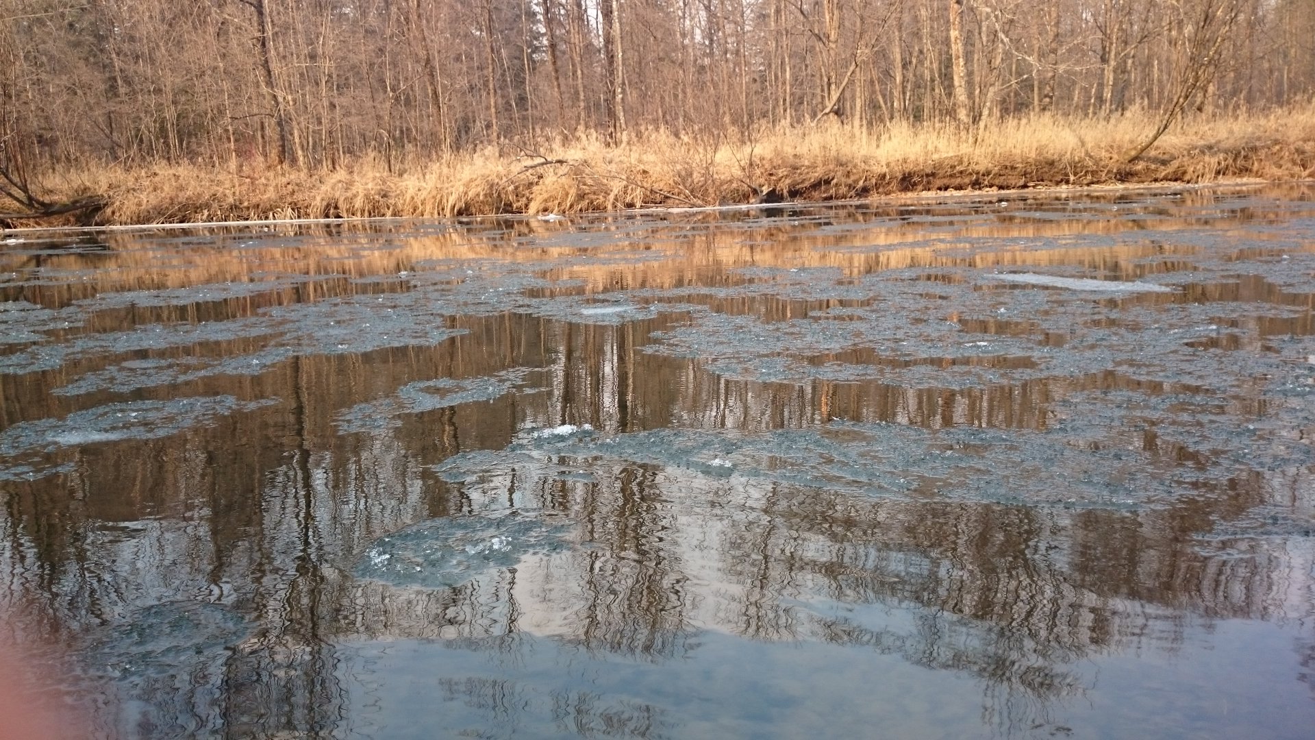 DSC_0510.JPG