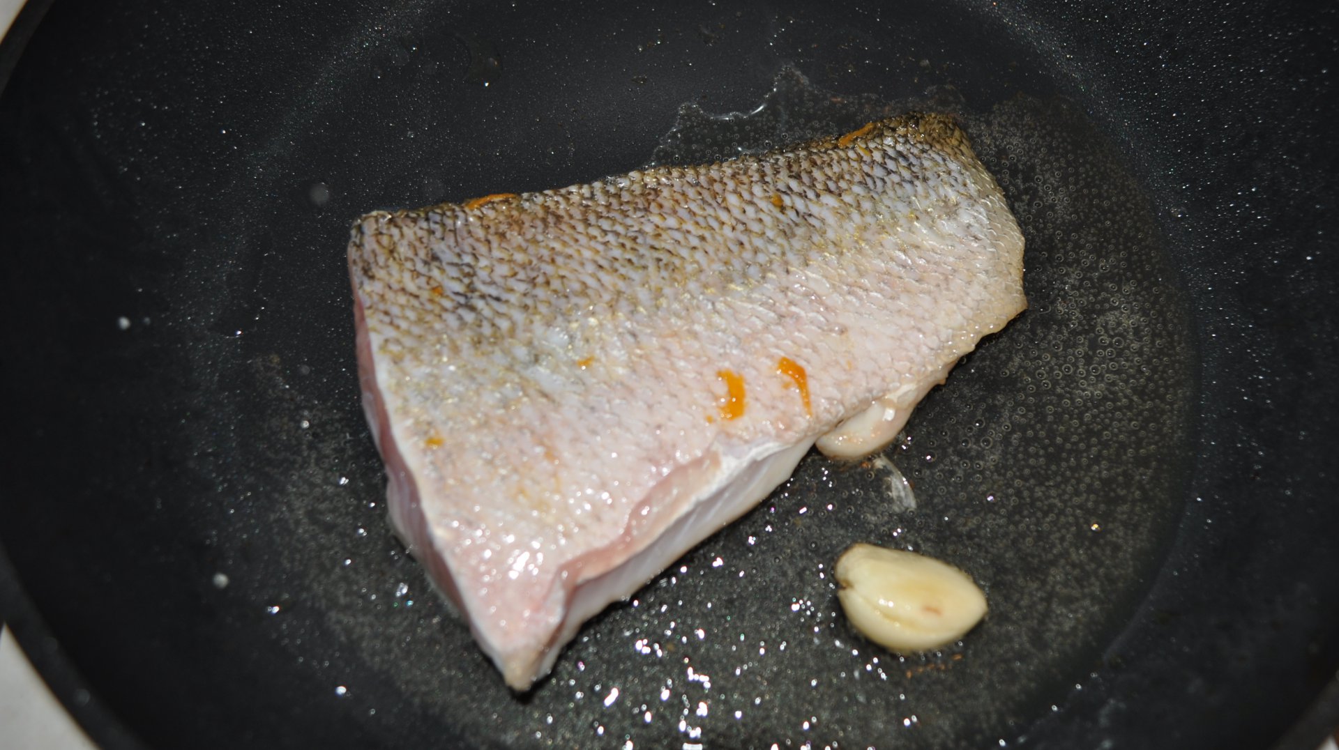 DSC_0516.JPG