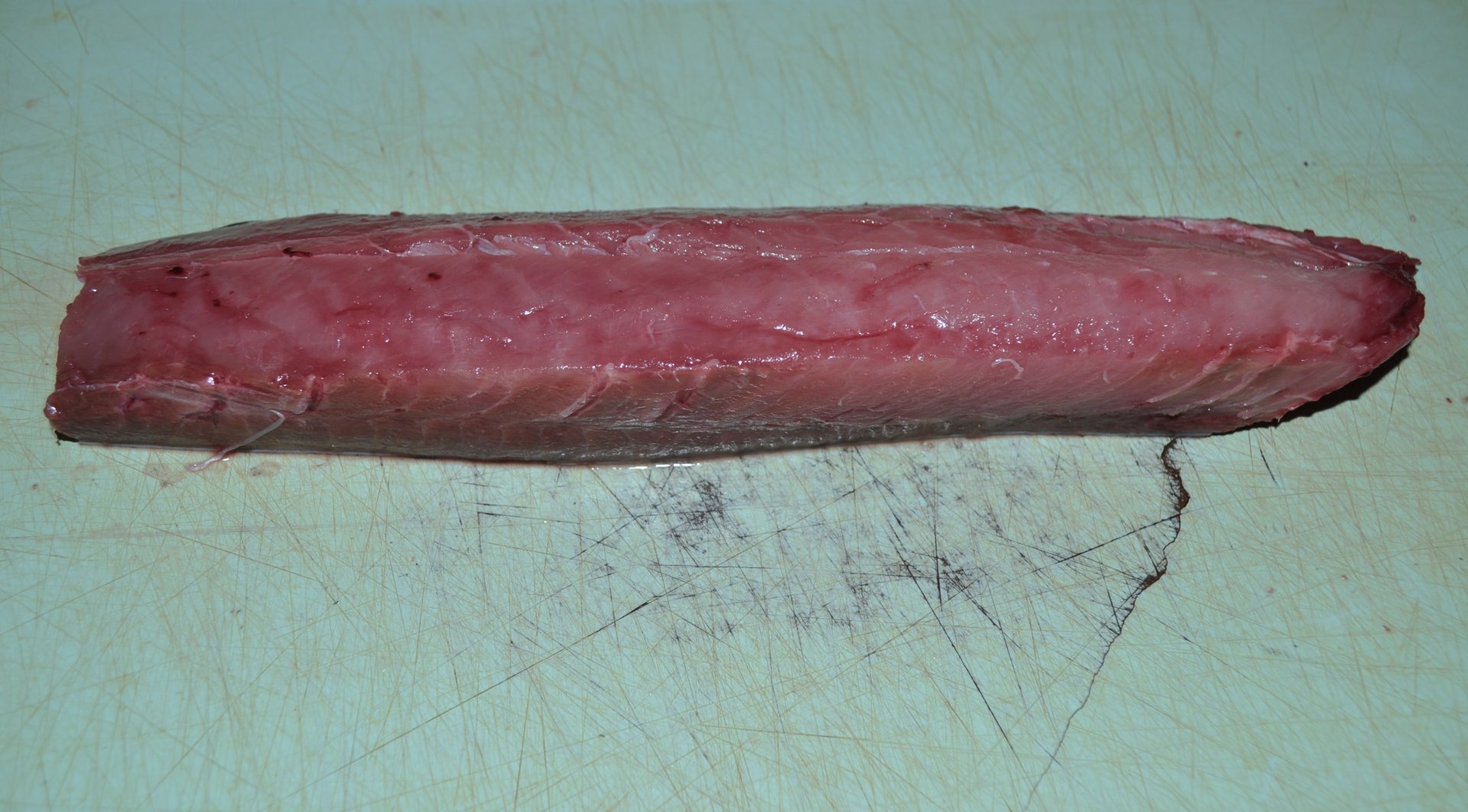 DSC_0546.JPG