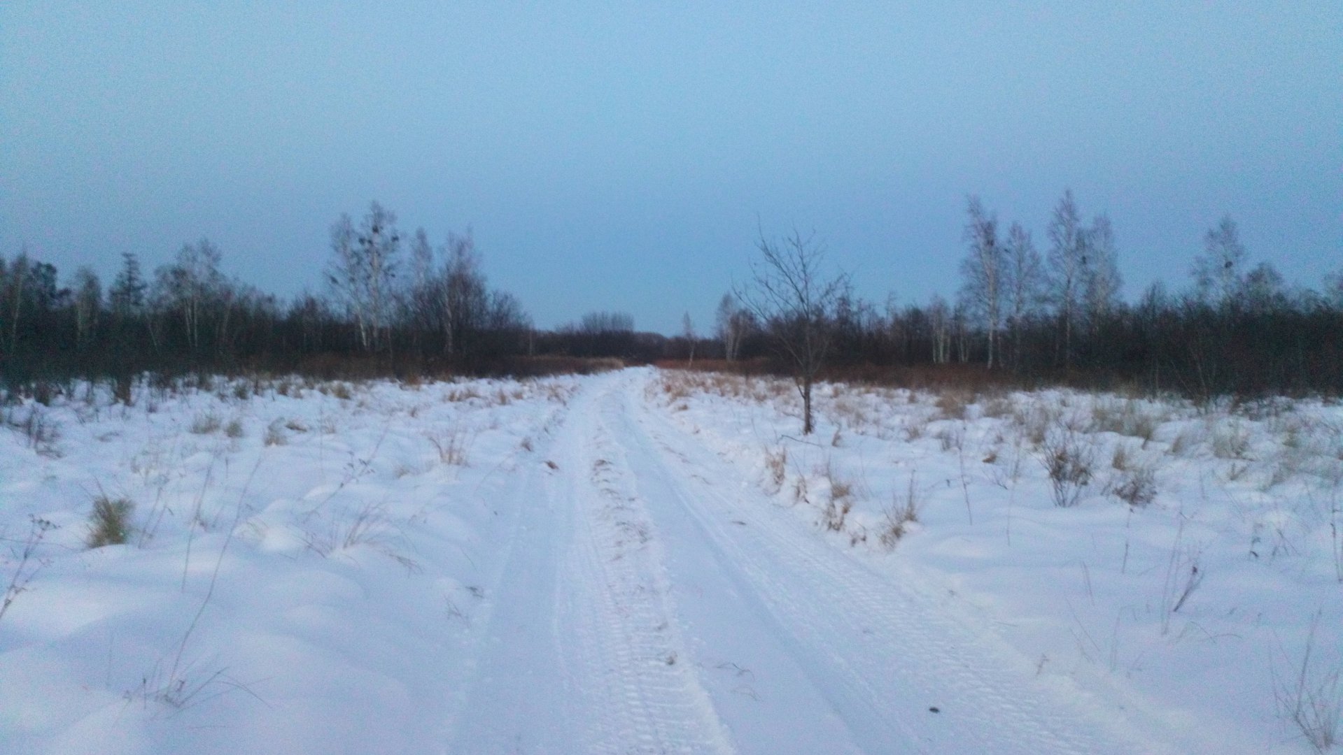 DSC_0564.JPG