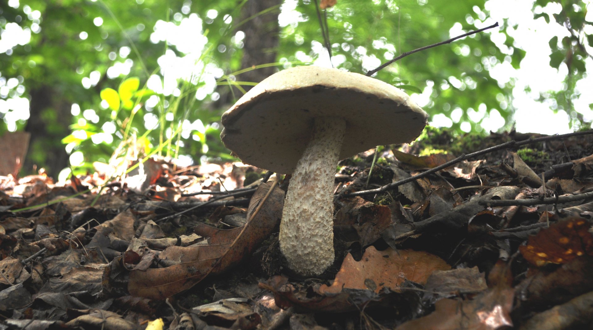 DSC_0565.JPG