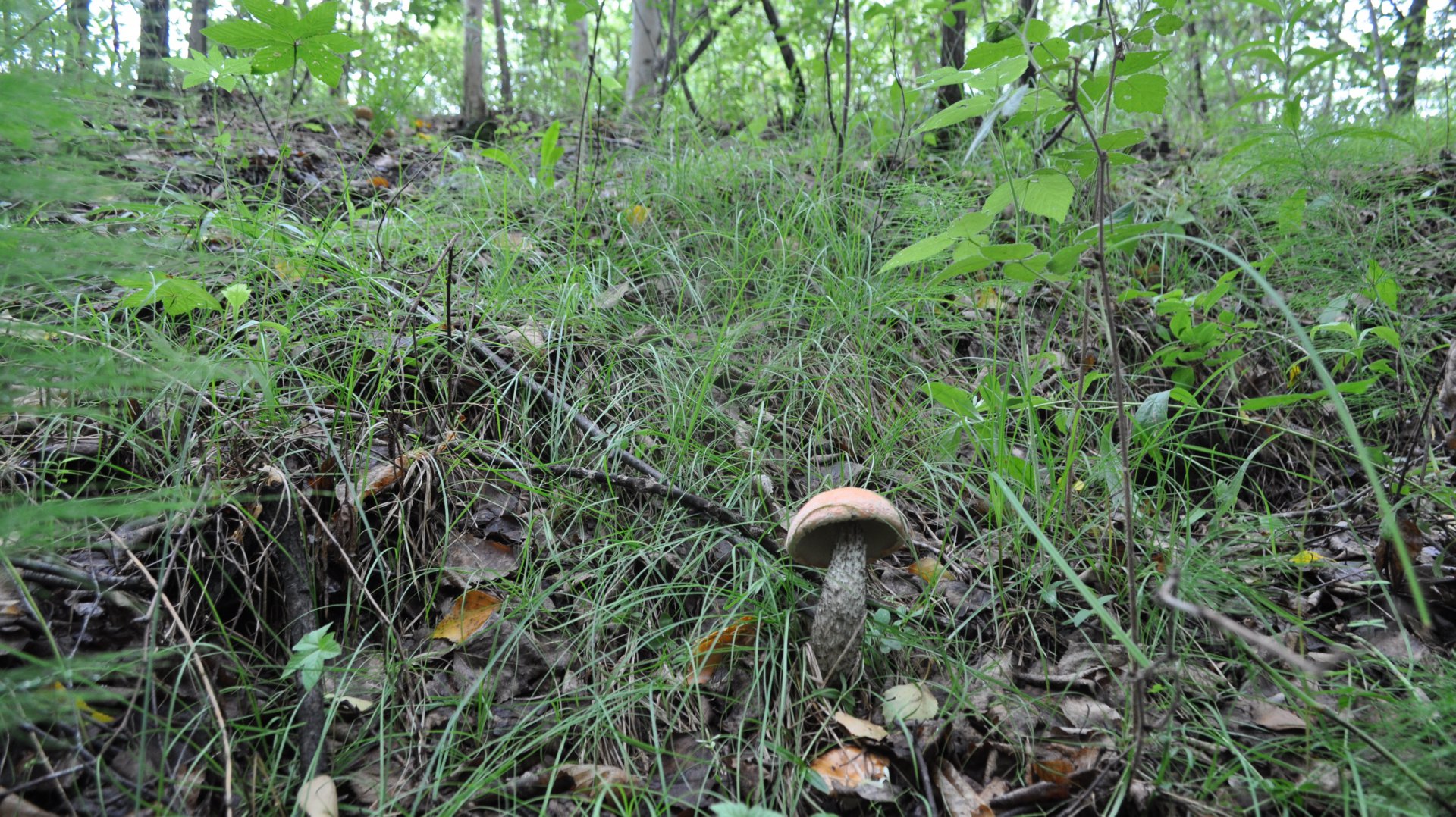 DSC_0577.JPG