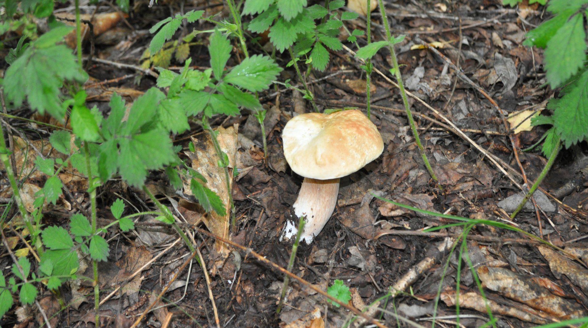 DSC_0656.JPG