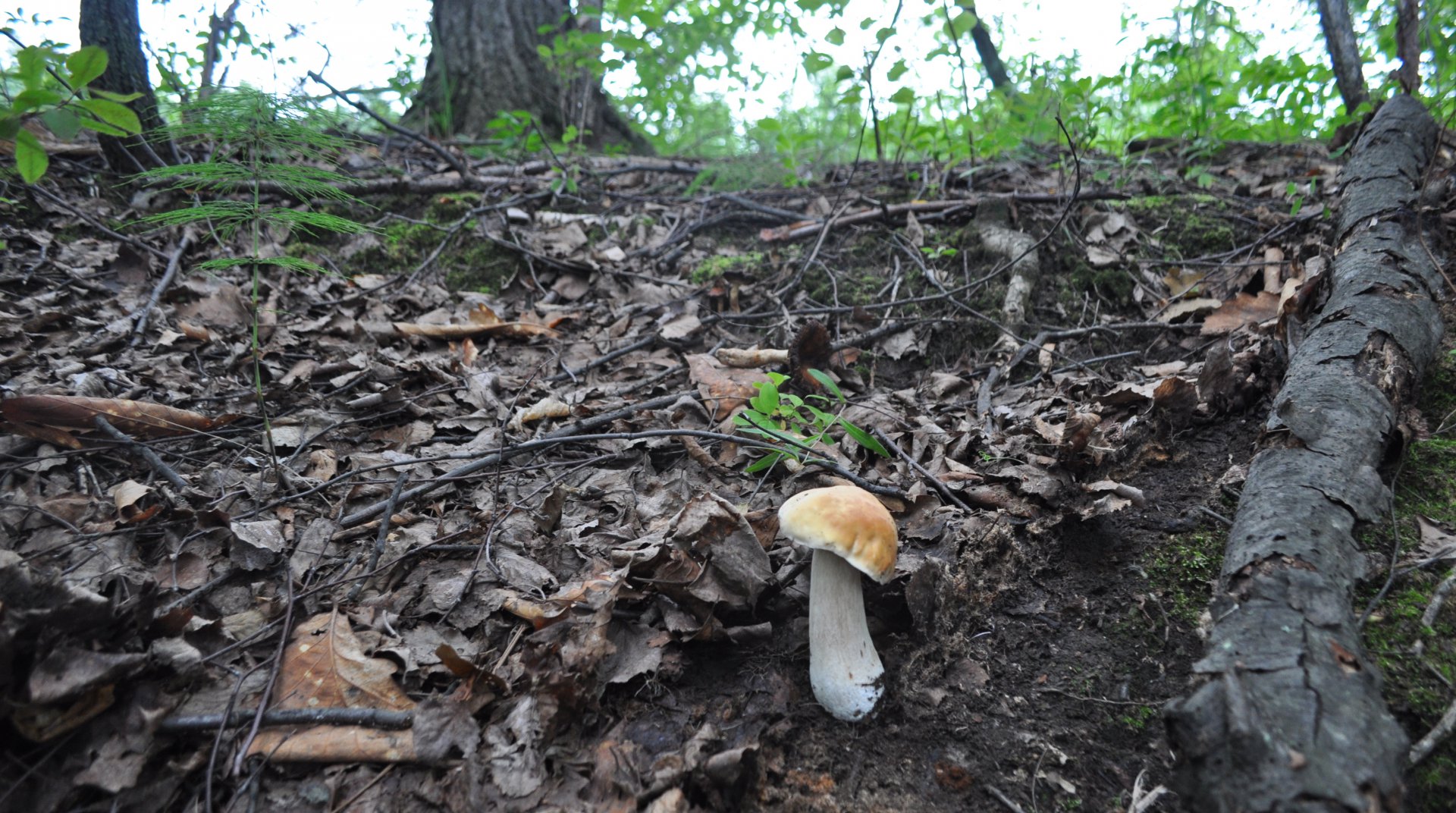 DSC_0660.JPG