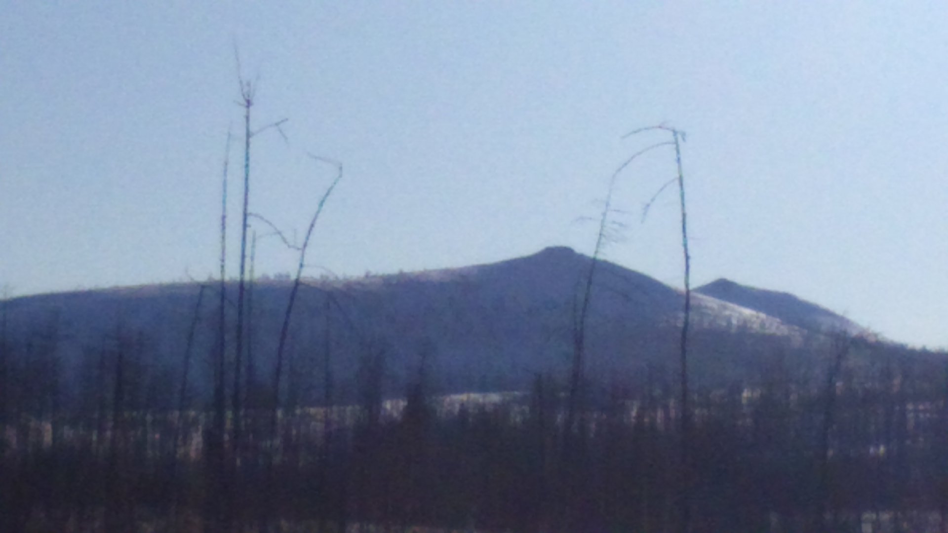 DSC_0665.JPG