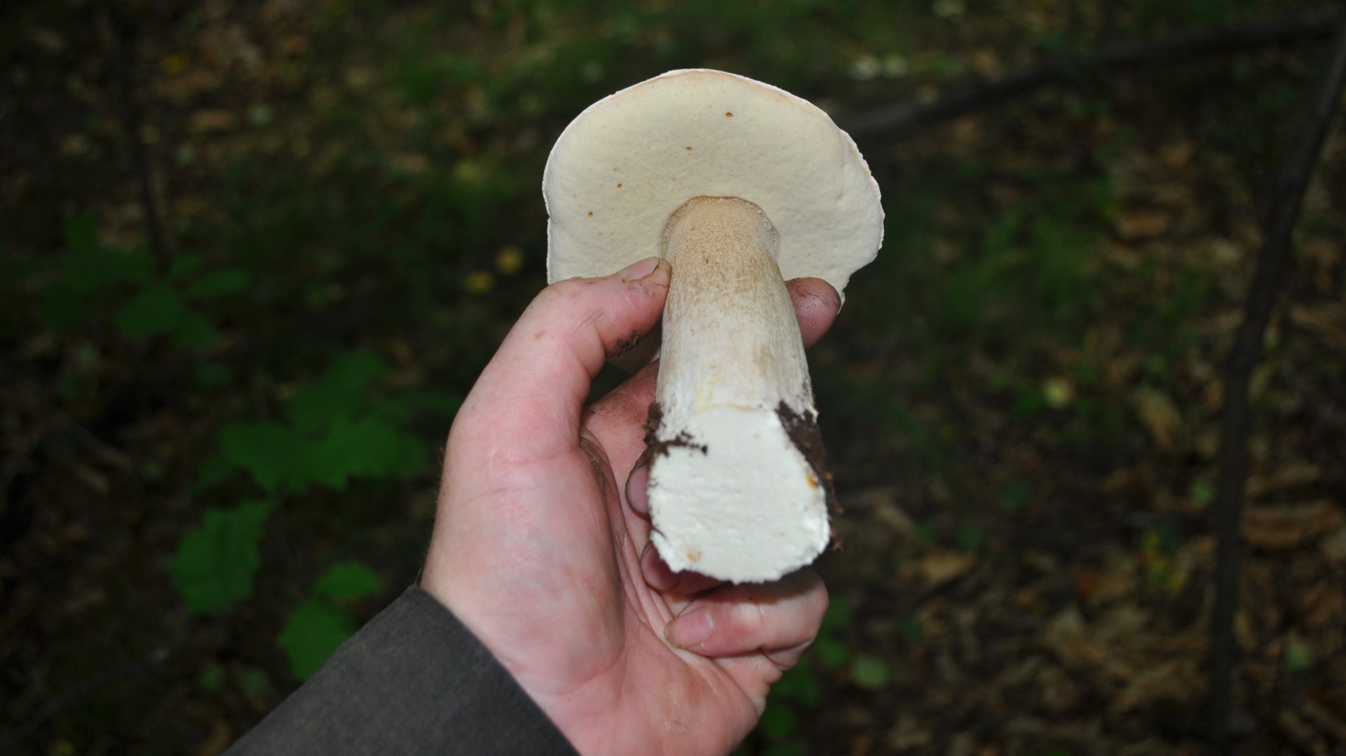 DSC_0670.JPG
