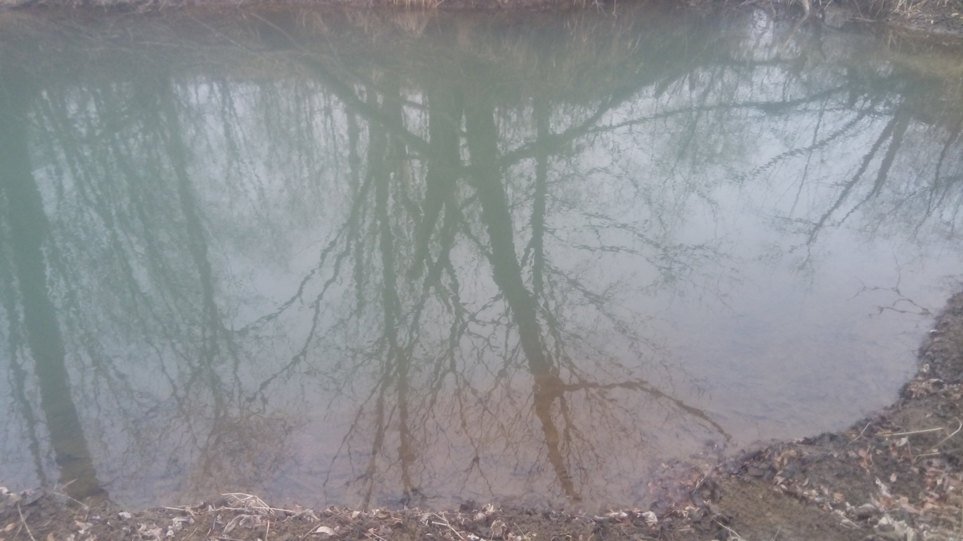 DSC_0683.JPG