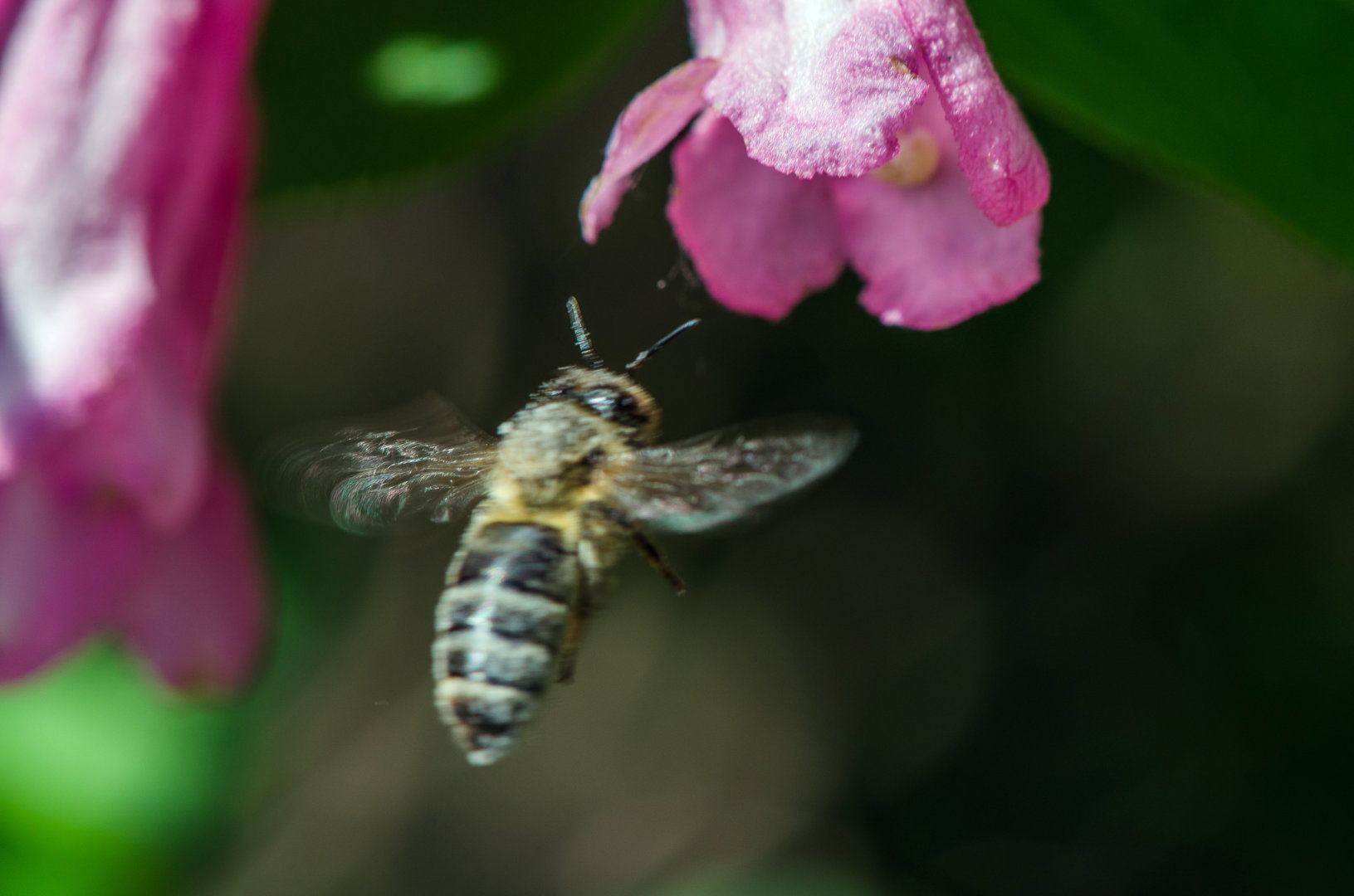 DSC_0687.jpg