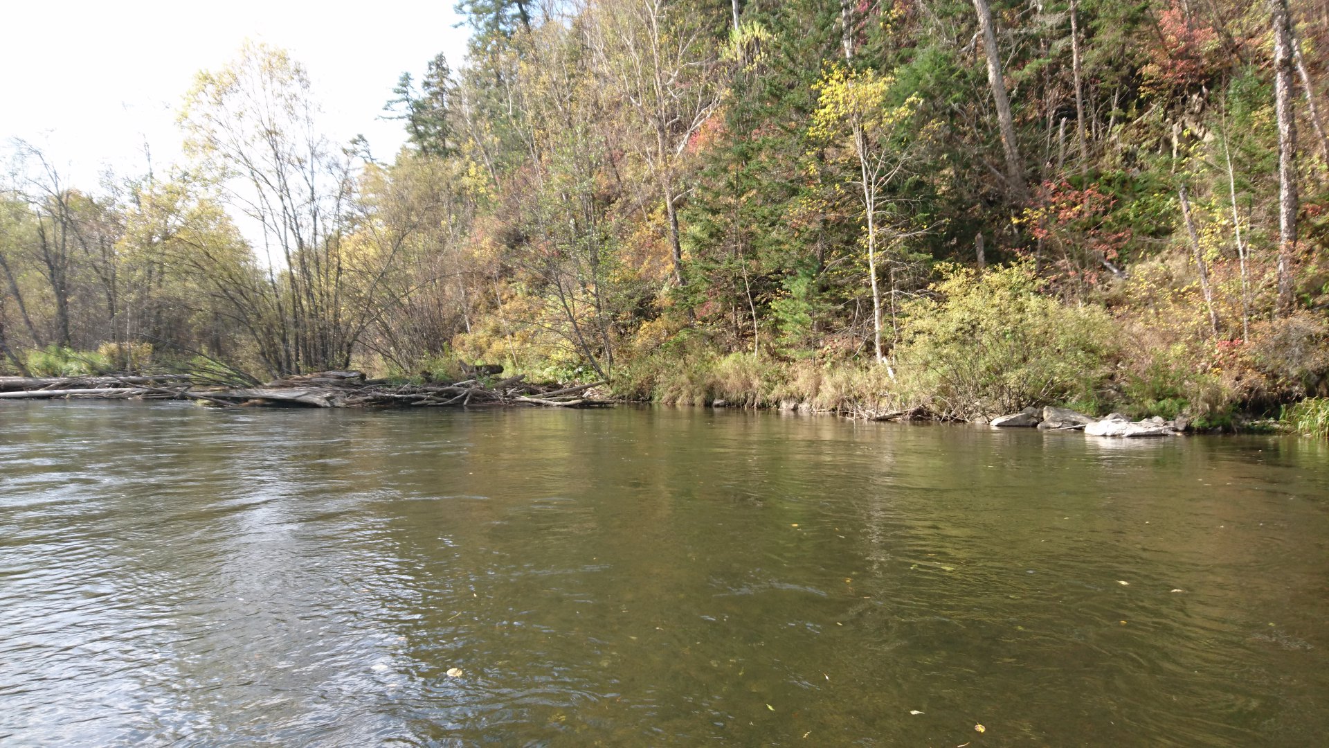 DSC_0723.JPG