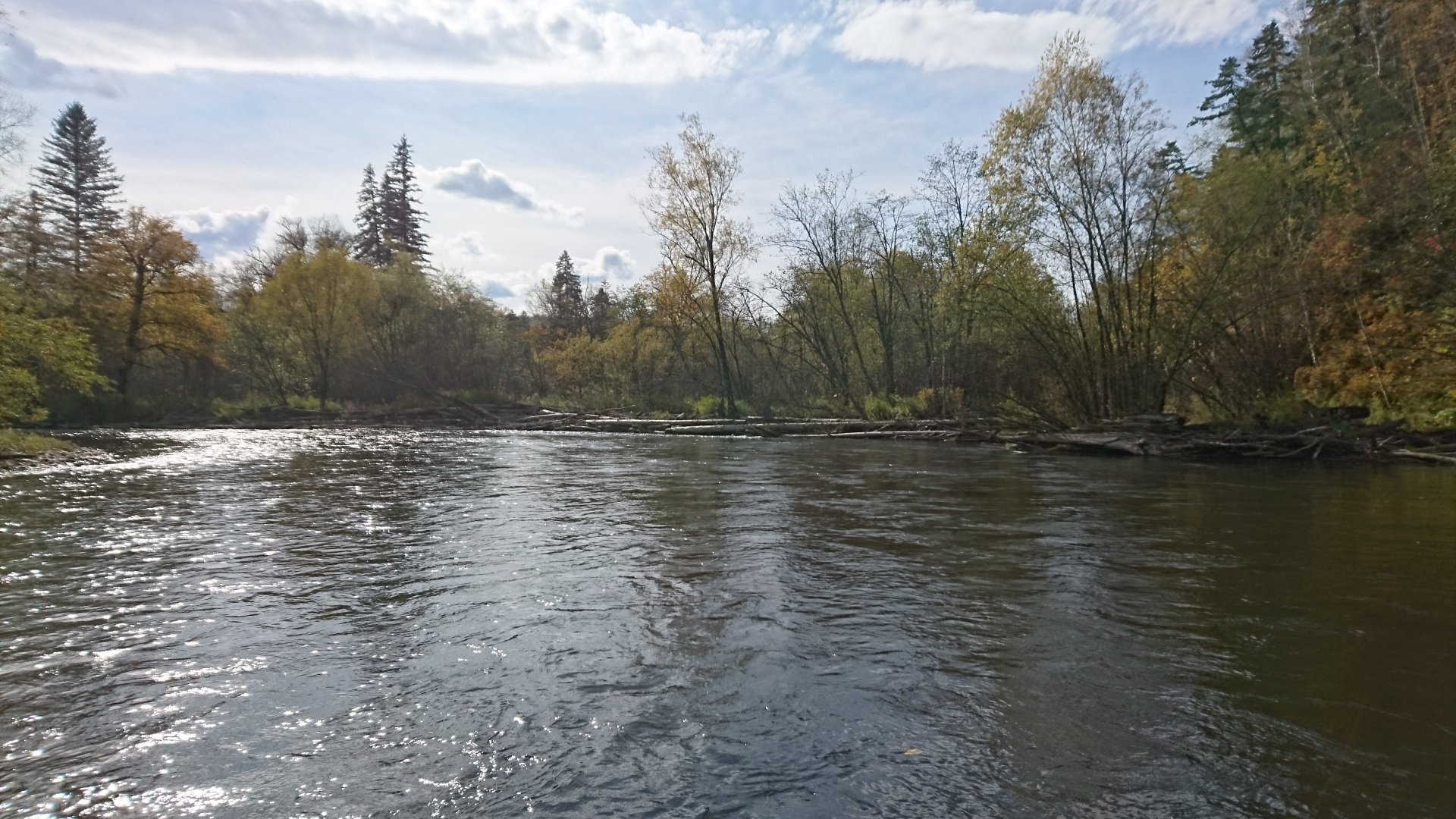 DSC_0724.JPG