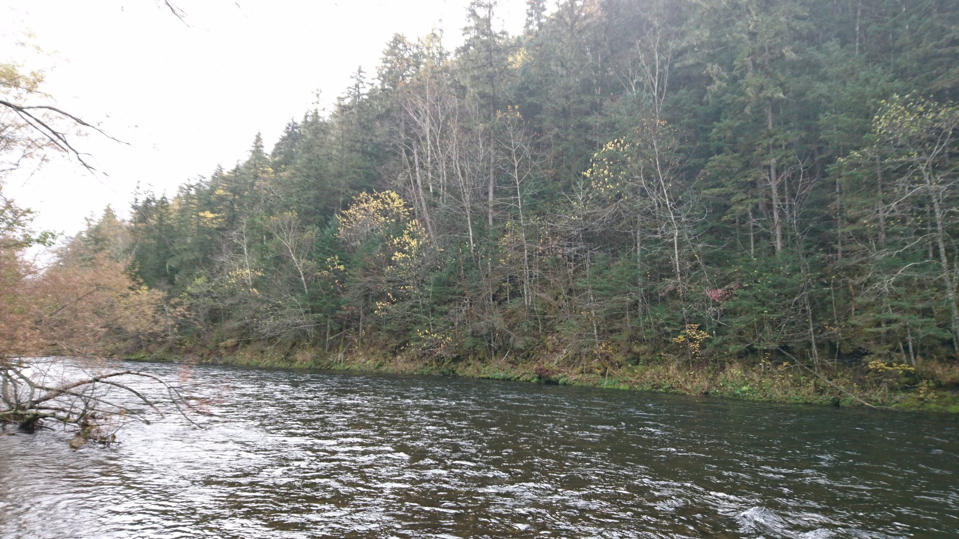 DSC_0733.JPG