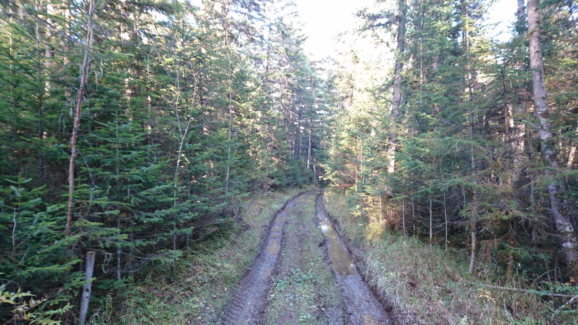 DSC_0744.JPG