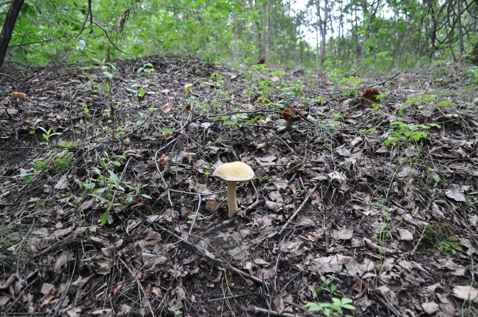 DSC_0756.JPG