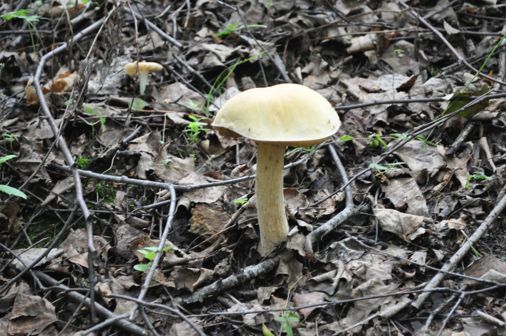 DSC_0757.JPG