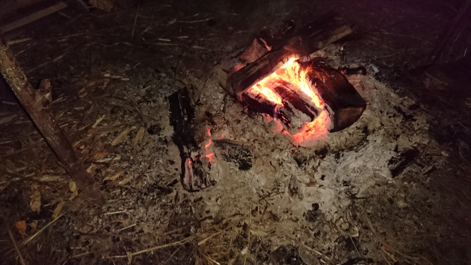DSC_0764.JPG