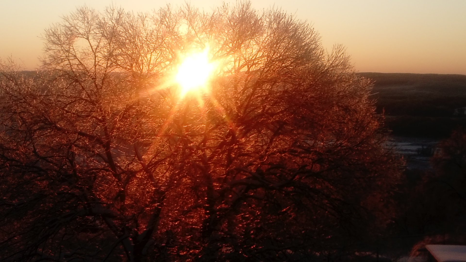 DSC_0782.JPG