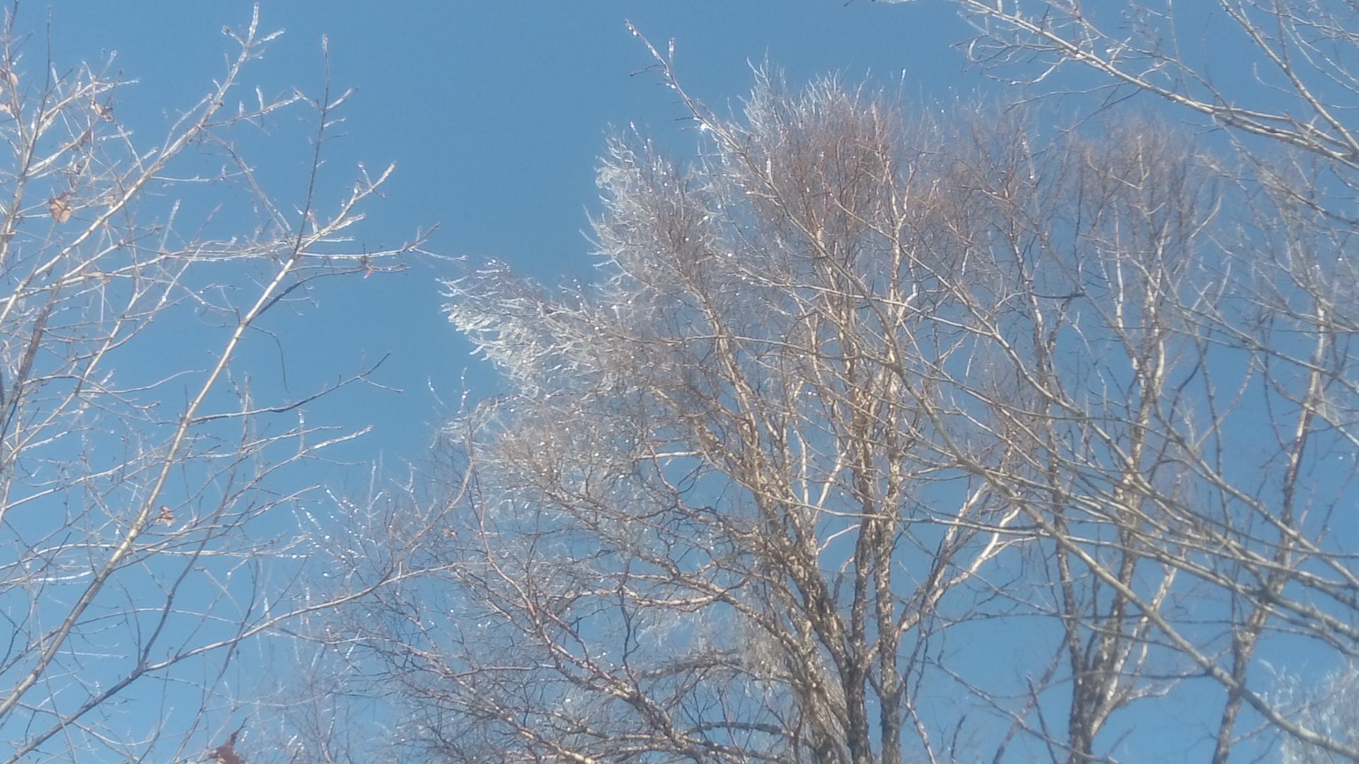 DSC_0820.JPG