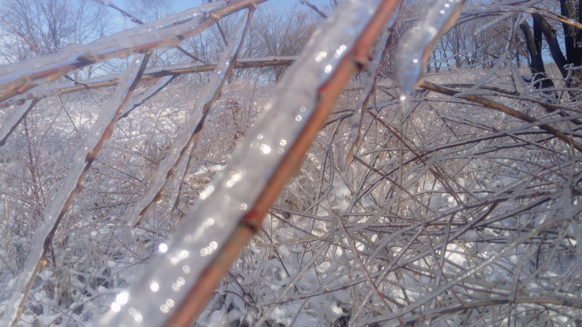 DSC_0825.JPG